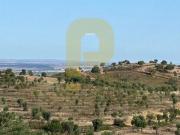 à venda Fazenda de 350 m2 Moura, Portugal