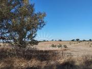 à venda Fazenda Zona de Expancao, Santiago do Cacém, Setúbal