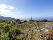 à venda Mansão de alto padrão, Calheta, Madeira
