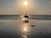 A VENDRE APPARTEMENT 90 M2 SAINT JOUIN BRUNEVAL AXE...