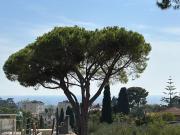 A vendre appartement de 2 pièces avec toit terrasse et...