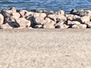 A VENDRE CARNON PLAGE 2IEME LIGNE VUE MER MAISON OU 2... A VENDRE CARNON PLAGE 2IEME LIGNE VUE MER MAISON OU 2...