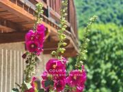 À Vendre Chalet meublé à Celliers Savoie 286m² Celliers