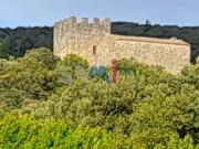 À VENDRE CHATEAU DE BEAUVOIR À RESTAURER SOUDORGUES SE