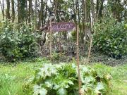 À vendre – Domaine naturel d’exception à La Ferté sous... À vendre – Domaine naturel d’exception à La Ferté sous...