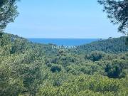 À vendre Maison avec grand terrain et aperçu mer Ensuès....