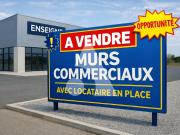 MURS COMMERCIAUX LOUÉS SAINT RAPHAËL