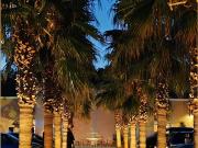 à vendre Murs et Fonds de commerce complexe de...