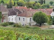 À Vendre Propriété Viticole Ensemble plus que 3,5 ha en...