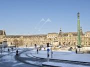 A vendre Quai Voltaire 2 suites Parfait état Vue Sei....