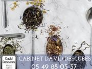 À VENDRE SALON DE THÉ & ACCESSOIRES