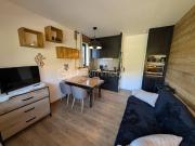 À vendre – Studio chaleureux avec terrasse, vue montagne...