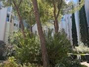 A vendree à Montpellier 34 Hérault: Découvrez ce