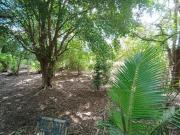 A Zona Norte é uma das regiões que mais se desenvolvem...