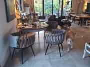 Aachen Süd am Wald, citynah, ruhig, Garten, Terassen,...