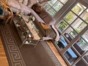 Ab sofort bezugsfrei Berlin