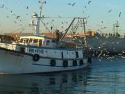 Abbigliamento in vendita a Rimini