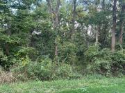 Aberdeen Rd, Frankfort, Plot For Sale