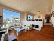 Abetos en Prado Largo