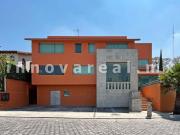 Abetos en Prado Largo