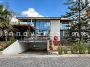 Abetos en Prado Largo