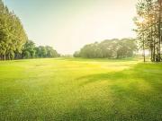 Abilly 37160 Programme neuf terrain neuf à vendre