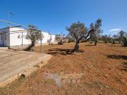 Villetta nelle campagne di Gallipoli
