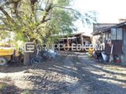 Abitazione di tipo rurale in vendita a Forlì Rif. 4522536