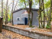 Abitazione tipica in vendita a Pedara