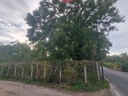 Abitazioni tipiche storiche in vendita a Brusciano