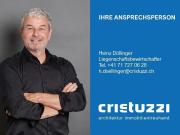 above the rooftops of Heerbrugg