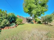 ABSOLUTELY IMMACULATE