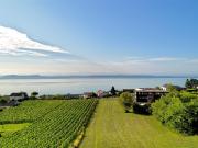 Abtei 18 – Neues Projekt mit 4 Villen