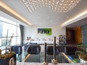 Acacias bosques de las lomas