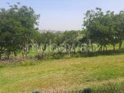 Achat de terrain à Polo. Surface de 913 m²