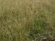 Achat terrains Joué du Bois