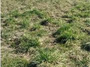 Achat terrains La Trimouille