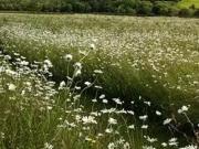 Achat terrains Luynes