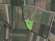 ACKERFLÄCHE IN EGGENDORF AM WAGRAM ZUSAMMENHÄNGENDE...