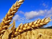 Ackerland • Photovoltaik • Verkauf • Pacht –...