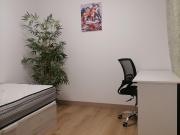 Acogedor Piso Reformado en Carolinas Altas, Alicante