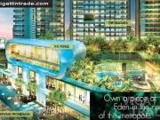 Acqua 1BR Apartment & Condos