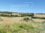 Acquapendente Lazio 100095566