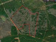 Acres Saxon Mattox Rd, Carlton, Plot For Sale