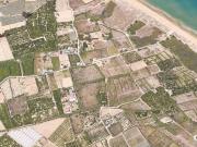 Actividad/Licencia en Venta en Cullera