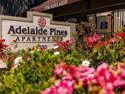 Adelaide Pines Adelaide 1x1