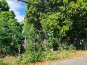 ADG FOR SALE: 305 sqm Residential Lot in BF Northwest,...