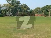 Adil Estate Offer You. Main Raiwind Road 40 Kanal...