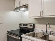 The Adler 1 Bedroom Apartment for Rent at 507 Sandpiper...