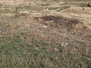 Adore Smart City 146 Sq. Yd. Plot in Sector 97 Faridabad...